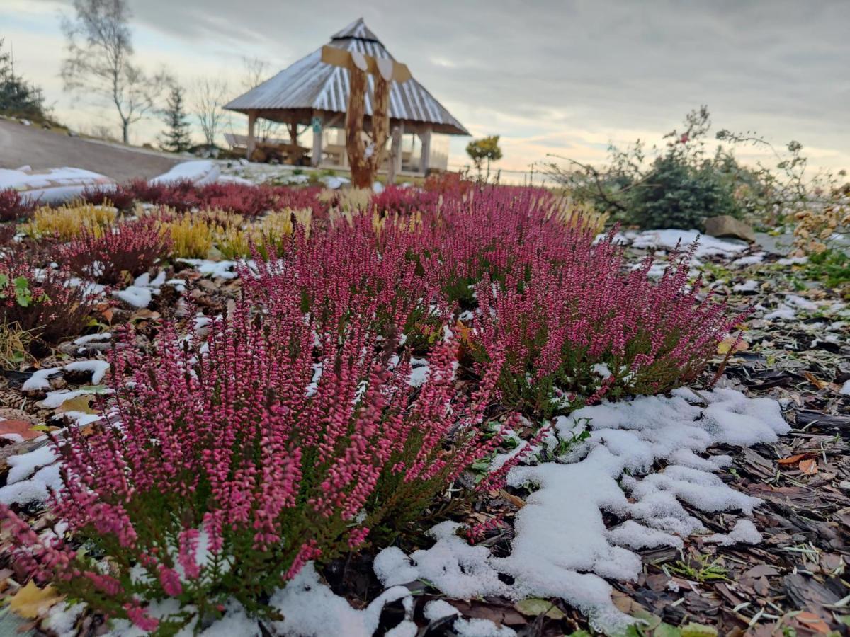 Wrzosowy Dwor - Spa Skomielna Czarna Dış mekan fotoğraf